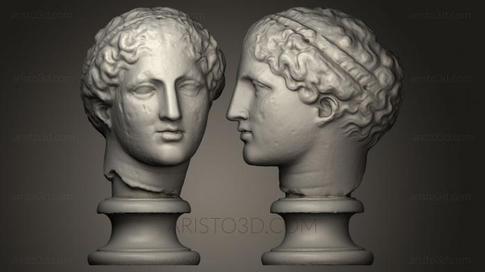Busts and heads antique and historical (BUSTA_0073) 3D model for CNC machine